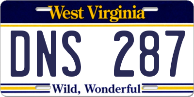 WV license plate DNS287