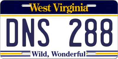 WV license plate DNS288