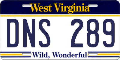 WV license plate DNS289