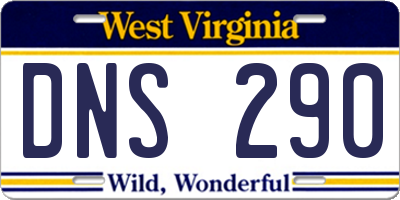 WV license plate DNS290