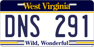 WV license plate DNS291