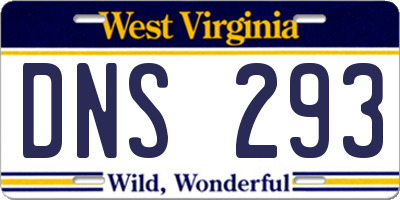 WV license plate DNS293