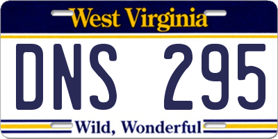 WV license plate DNS295