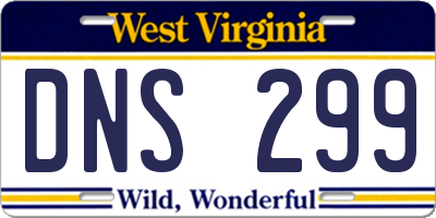 WV license plate DNS299