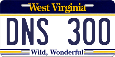 WV license plate DNS300