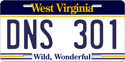 WV license plate DNS301