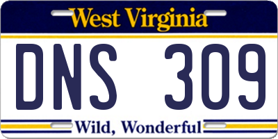 WV license plate DNS309