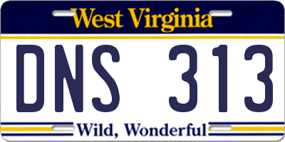 WV license plate DNS313