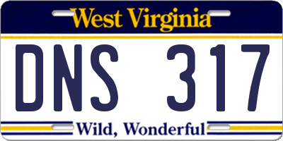 WV license plate DNS317