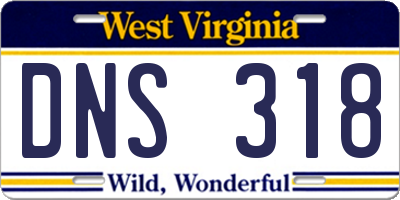 WV license plate DNS318