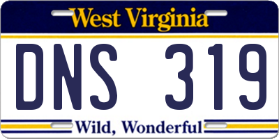 WV license plate DNS319