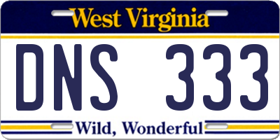 WV license plate DNS333
