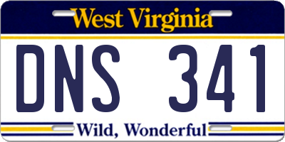 WV license plate DNS341