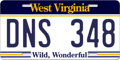 WV license plate DNS348