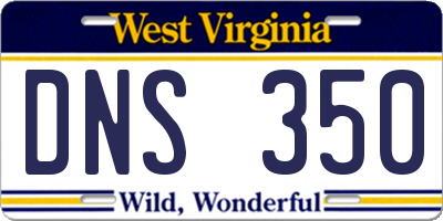 WV license plate DNS350