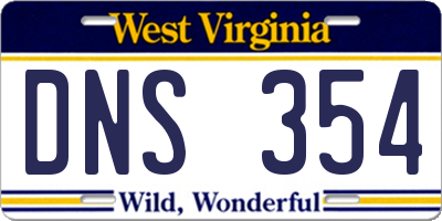 WV license plate DNS354