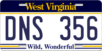 WV license plate DNS356