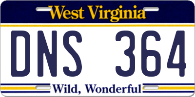 WV license plate DNS364