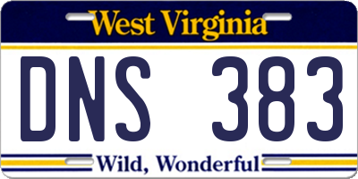 WV license plate DNS383
