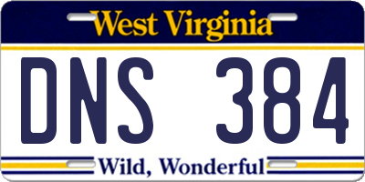 WV license plate DNS384