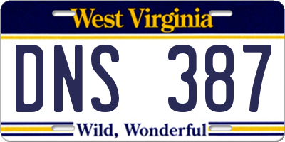 WV license plate DNS387