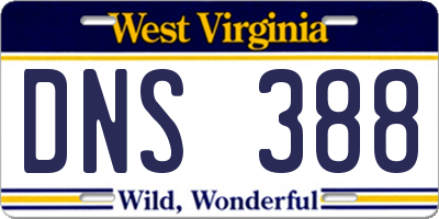 WV license plate DNS388