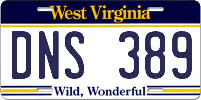 WV license plate DNS389