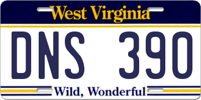 WV license plate DNS390