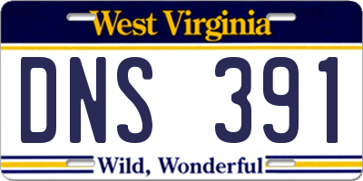 WV license plate DNS391