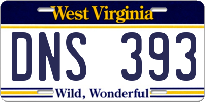 WV license plate DNS393
