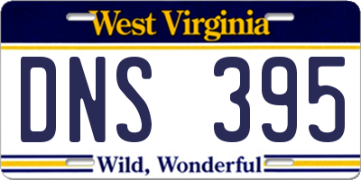 WV license plate DNS395