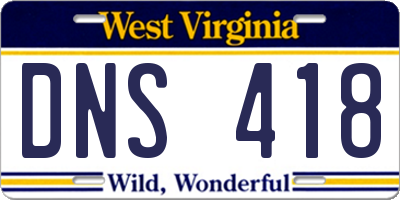 WV license plate DNS418