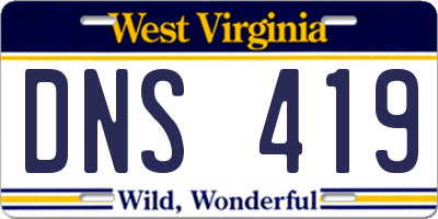 WV license plate DNS419