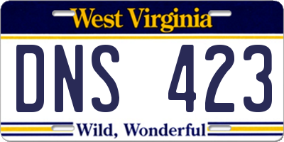 WV license plate DNS423