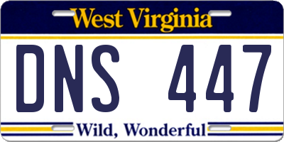 WV license plate DNS447