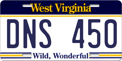 WV license plate DNS450
