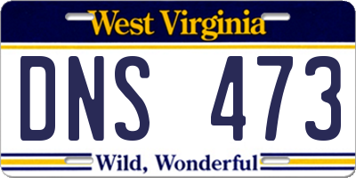 WV license plate DNS473