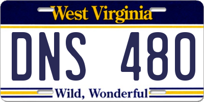 WV license plate DNS480