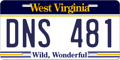 WV license plate DNS481