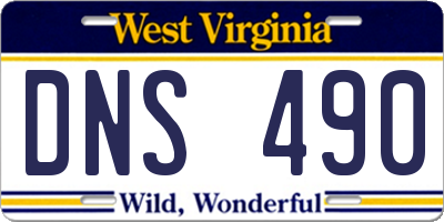 WV license plate DNS490