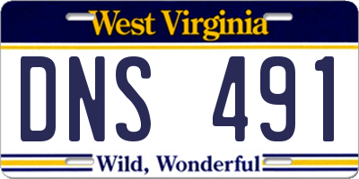WV license plate DNS491