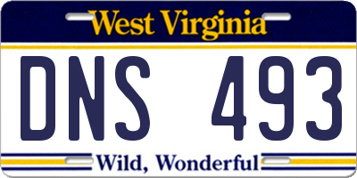 WV license plate DNS493