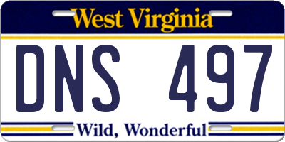 WV license plate DNS497