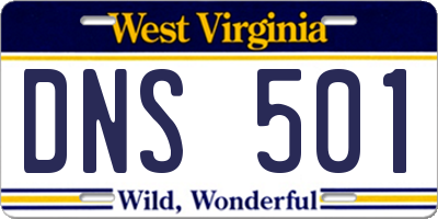WV license plate DNS501