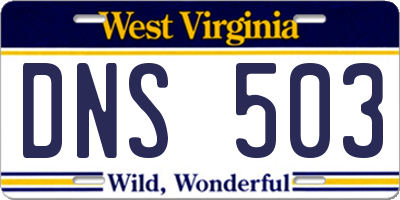 WV license plate DNS503