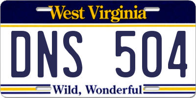 WV license plate DNS504