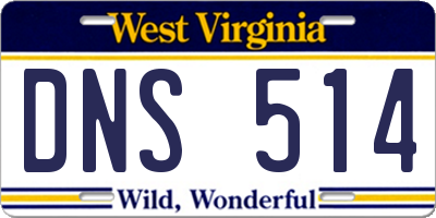 WV license plate DNS514