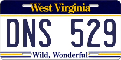 WV license plate DNS529