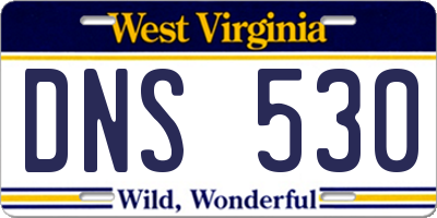 WV license plate DNS530