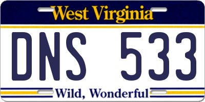 WV license plate DNS533